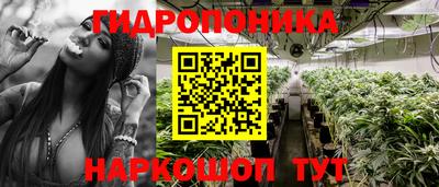 2c-b Канаш